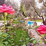 Hotel Stonehouse Byipek *