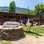 Stonehouse Byipek Selçuk