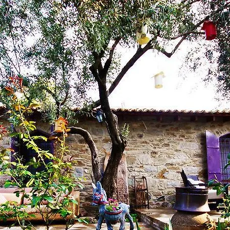 Hotel Stonehouse Byipek Hotel Selçuk