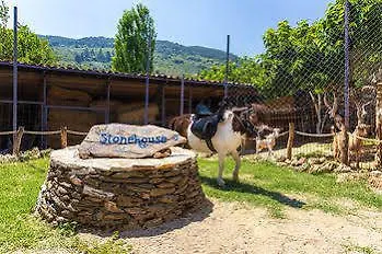 Stonehouse Byipek Hotel Selçuk