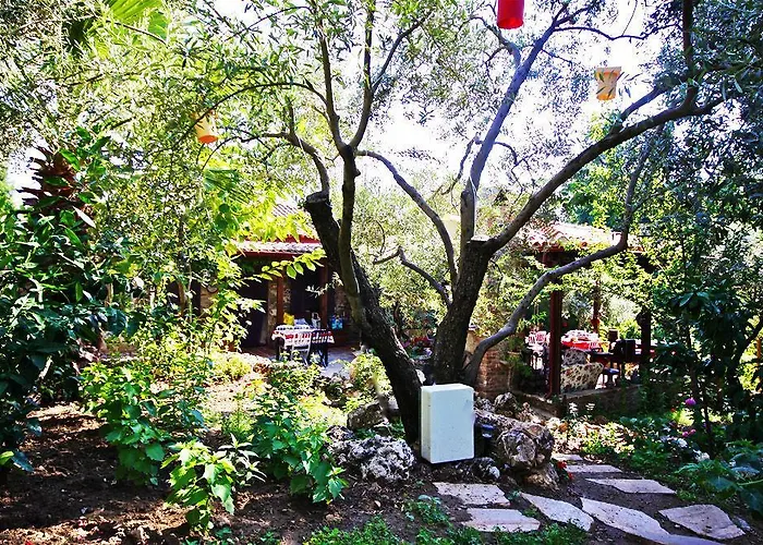 Hotel Stonehouse Byipek Hotel Selcuk