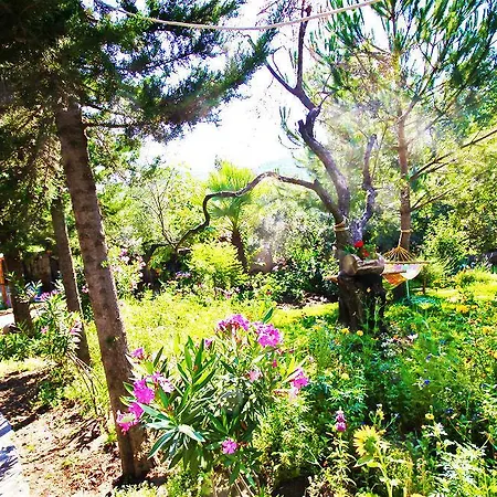 Stonehouse Byipek Hotel