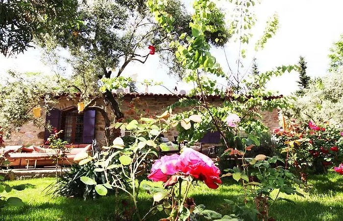 Hotel Stonehouse Byipek *