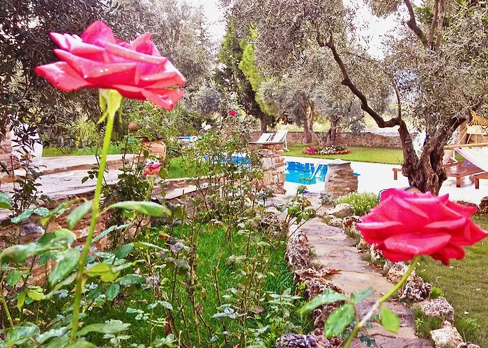 Hotel Stonehouse Byipek *