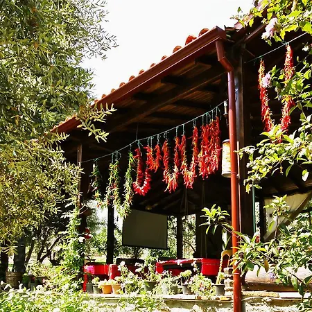 Otel Stonehouse Byipek *