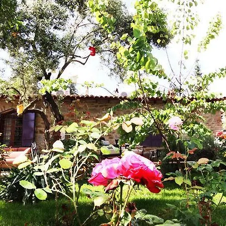 Otel Stonehouse Byipek *