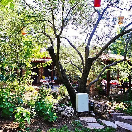 Hotel Stonehouse Byipek Selçuk