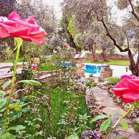 Otel Stonehouse Byipek *