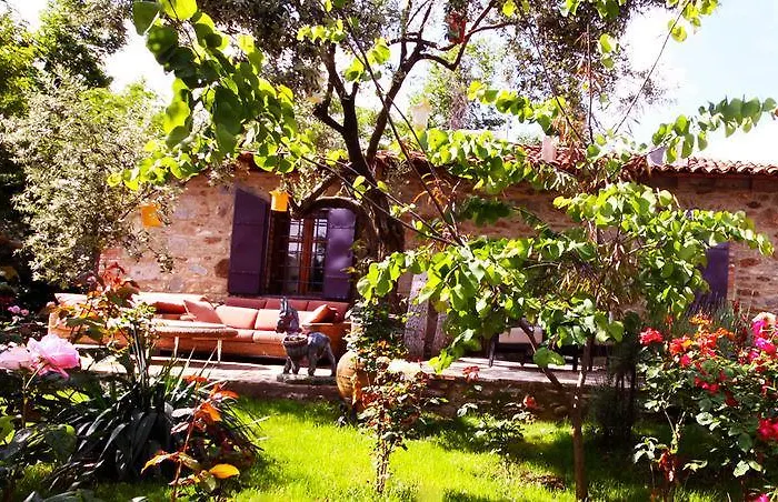 Stonehouse Byipek Selçuk