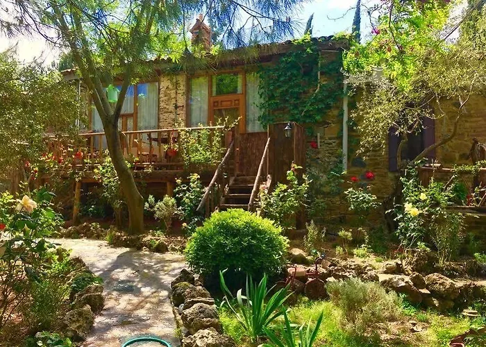 Stonehouse Byipek Selçuk